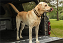 Access Truck Bed Mat
