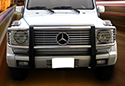 Image is representative of Black Horse Grille Guard.<br/>Due to variations in monitor settings and differences in vehicle models, your specific part number (17FB23MA) may vary.