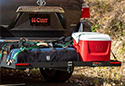 Curt Cargo Carrier