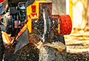 Image is representative of DK2 Power Stump Grinders.<br/>Due to variations in monitor settings and differences in vehicle models, your specific part number (OPG777) may vary.