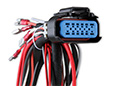 MSD 6CT Ignition Control