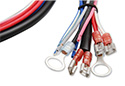 Image is representative of MSD Digital Programmable 6AL-2 Ignition Control.<br/>Due to variations in monitor settings and differences in vehicle models, your specific part number (6530) may vary.