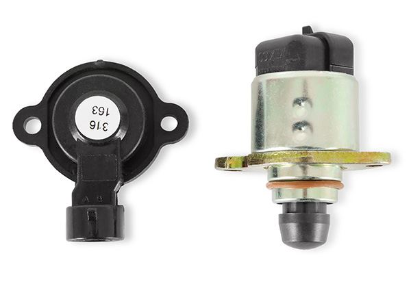 MSD TPS/IAC Kit