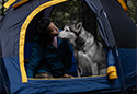 Napier Lite Pack Camping Bundle