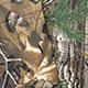 Northern Frontier Real Tree Camo Neosupreme Seat Covers