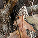 Northern Frontier TrueTimber Camo Canvas Seat Covers