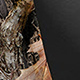 Northern Frontier TrueTimber Camo Canvas Seat Covers