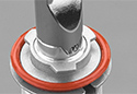 STEDI Projector Headlight LED Bulbs