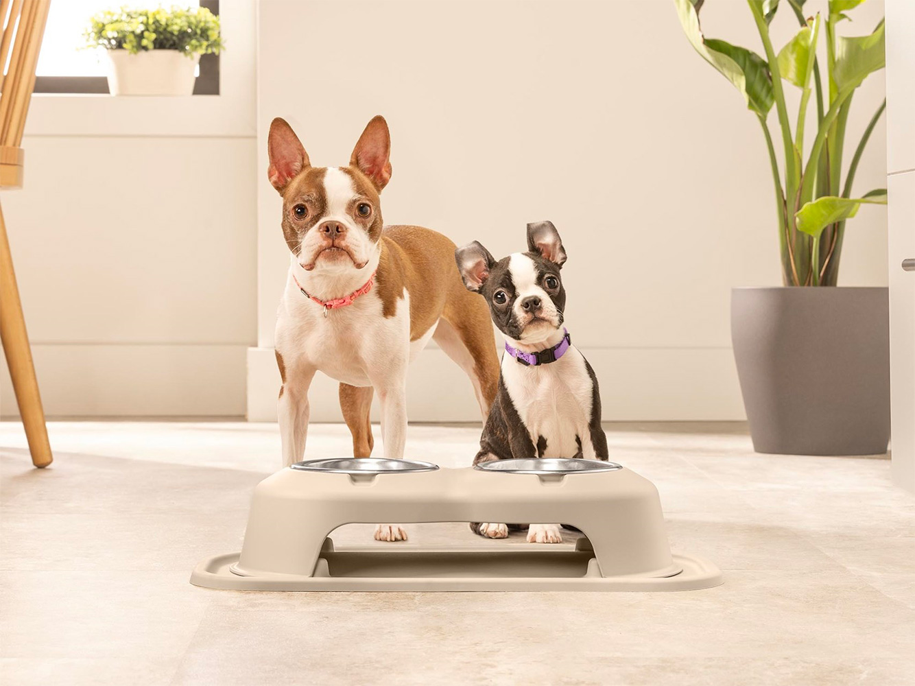 WeatherTech Double High Pet Feeding System – Erhöhter Futternapf-Ständer Mit Matte, 10,2 Cm Hoch, Hellbraun