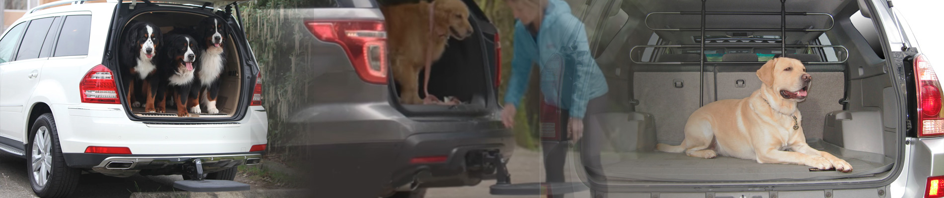 PortablePET
