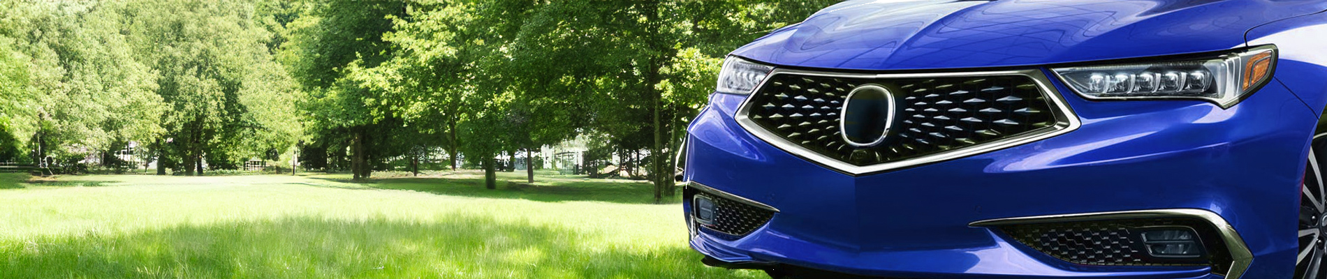 Acura TLX Accessories, Custom Mods & Upgrades - NAPA Auto Parts