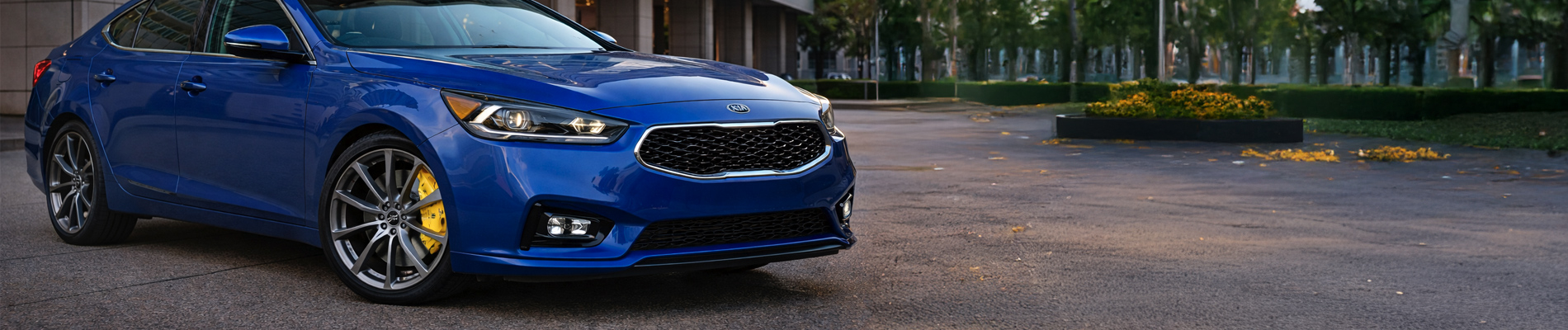 Kia Cadenza Accessories, Custom Mods & Upgrades - NAPA Auto Parts